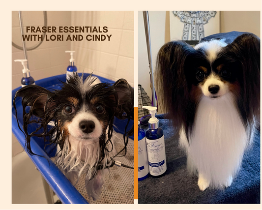 Welcome to Fraser Essentials with Lori and Cindy!